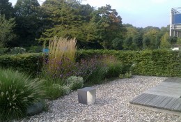<p><strong>Mustergarten im Grugapark in Essen</strong><br />Mustergarten heute</p>
