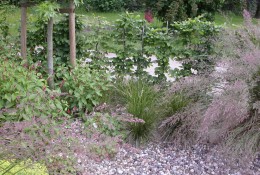 <p><strong>Mustergarten im Grugapark in Essen</strong><br />Pflanzflächen</p>