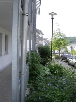 <p><strong>Freiraumplanung Wohngebiet Brunnen in Schwelm</strong></p><p>Bepflanzung</p>