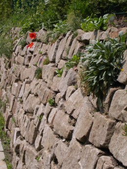 <p>Fre<strong>iraumplanung Gartensiedlung in Herdecke</strong></p><p>Detail Natursteinmauer</p>