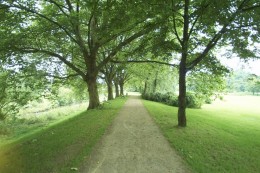 natur